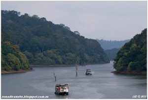 Lee más sobre el artículo Thekkady y el Parque Nacional de Periyar en Kerala.