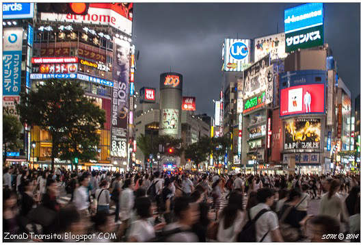 Paso de cebra Shibuya Tokio