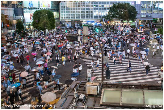 Paso de cebra más famoso del mundo Shibuya