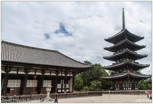 Visitas Nara desde Kioto