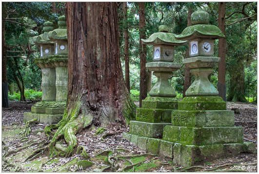 Santuario Kasuga Taisha Nara KIoto