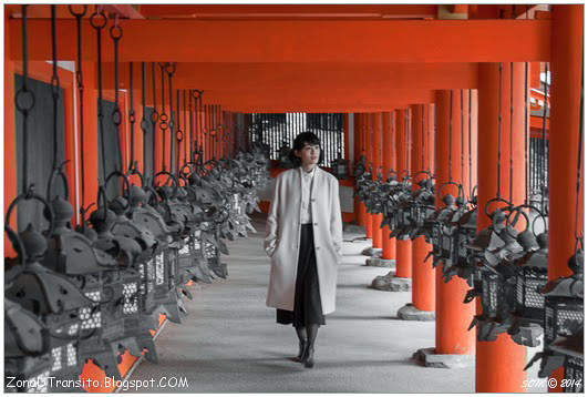 Lee más sobre el artículo Excursión a Nara y al santuario de Fushimi Inari.