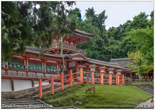 Santuario Kasuga Taisha Nara