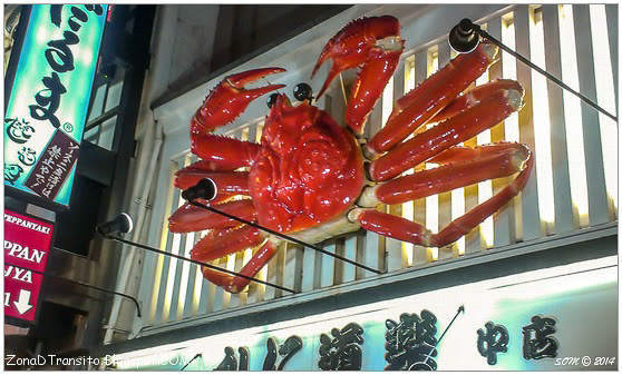 Cangrejo Dotonbori Osaka