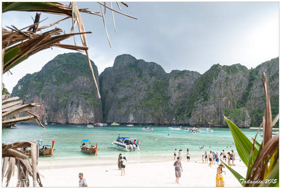 Playa mas famosa de Tailanadia Phi Phi Maya Beach