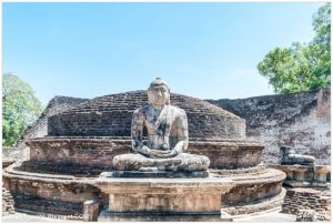 Lee más sobre el artículo Visita de las ruinas de Polonnaruwa y Safari en Minneriya entre elefantes.