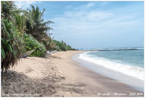 Lee más sobre el artículo Playa de Mirissa, Colombo  y vuelo a Male (Maldivas)