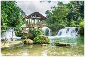 Lee más sobre el artículo Excursión en moto por el interior de Bohol: Chocolate Hills, Tarsiers…