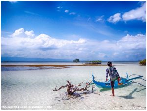 Lee más sobre el artículo Excursión y esnorquel en la isla de Balicasag (Bohol)