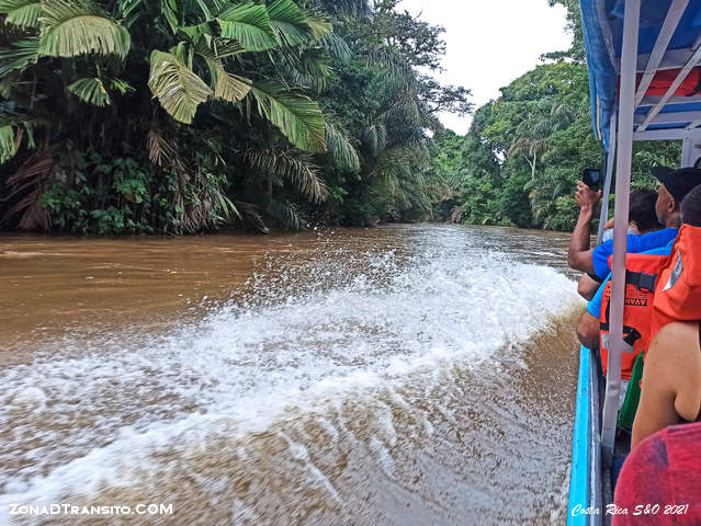 Lee más sobre el artículo Parque Nacional de Tortugero: Desove de Tortugas