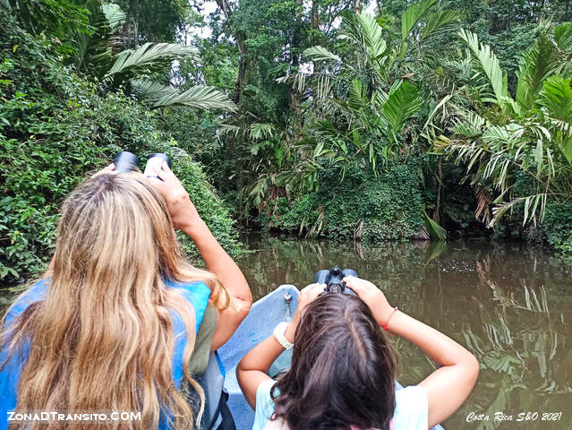 Excursion canoa Tortuguero