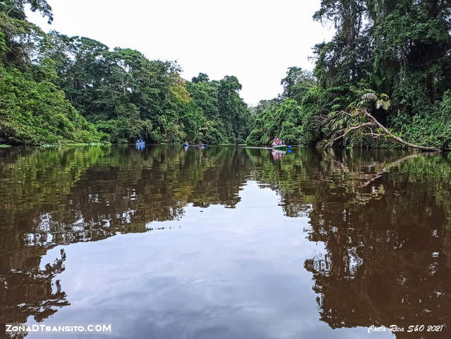 Excursion canoa Tortuguero