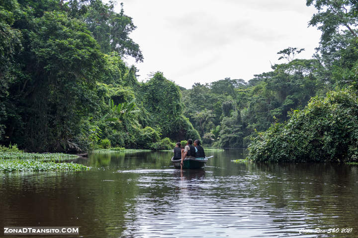 Excursion canoa Tortuguero