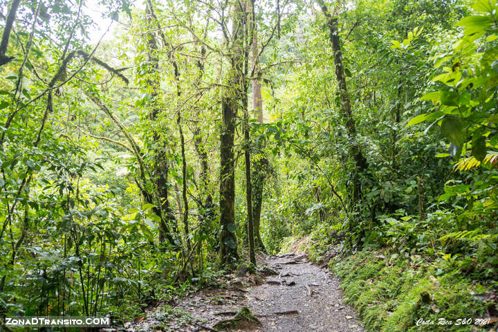 Trekking por el Rio Celeste