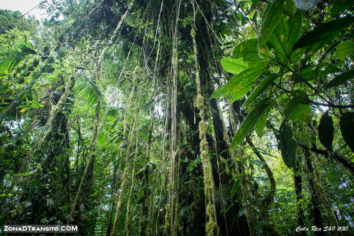 Sendero RIo Celeste