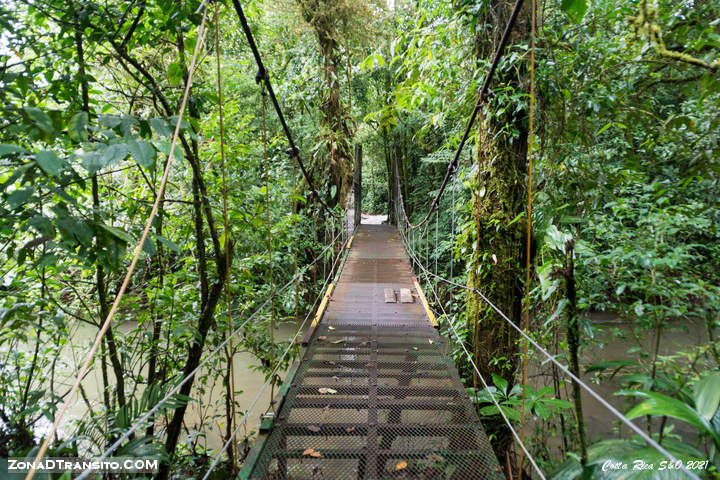 Puente Colgate en Rio Celeste