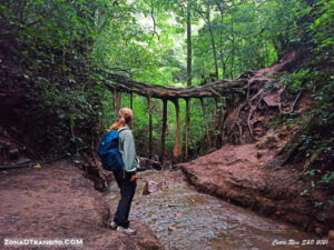 Lee más sobre el artículo Canopy (Tirolinas) sobre el Bosque Nuboso de Monteverde (Costa Rica).