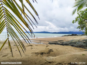 Lee más sobre el artículo Tour por las playas de bahía de Drake (Corcovado)