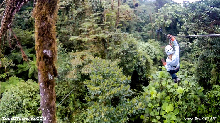 Canopy en bosque nuboso monteverde