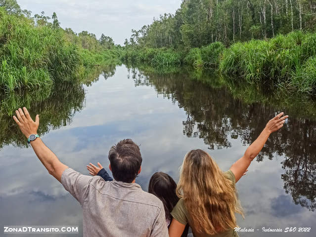 Lee más sobre el artículo Excursión en barco Klotok por el Parque Nacional de Tanjung Puting.