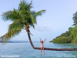 Lee más sobre el artículo Guía de Raja Ampat (Papúa) II: Qué ver y hacer en Raja Ampat