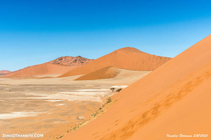 Visita por libre del desierto de Namib