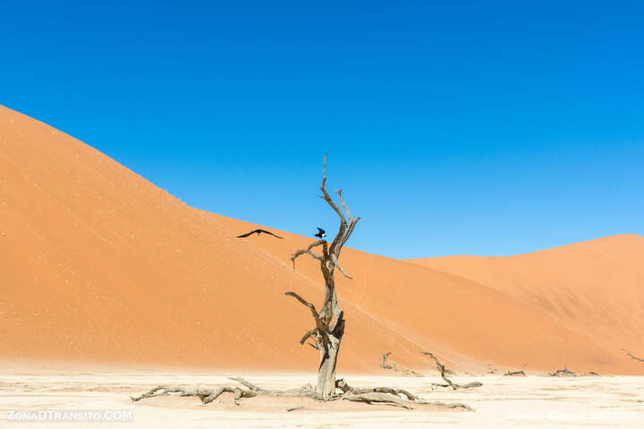 Dead veli desierto de Namib