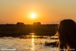 Lee más sobre el artículo Kasane y Parque Nacional de Chobe