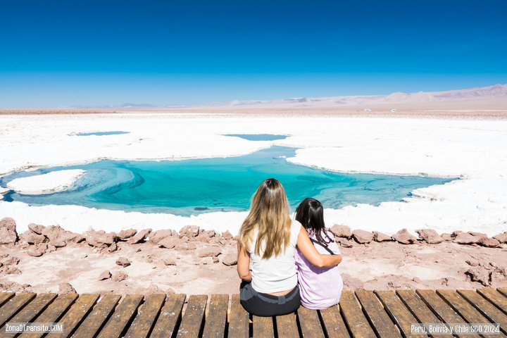 Laguna de Baltinache, Atacama. Viajar por libre a Atacama