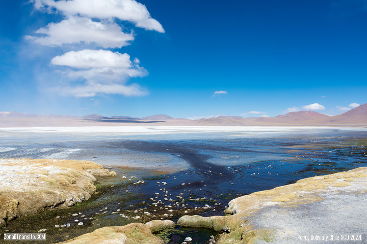 Laguna Colorada, Bolivia.