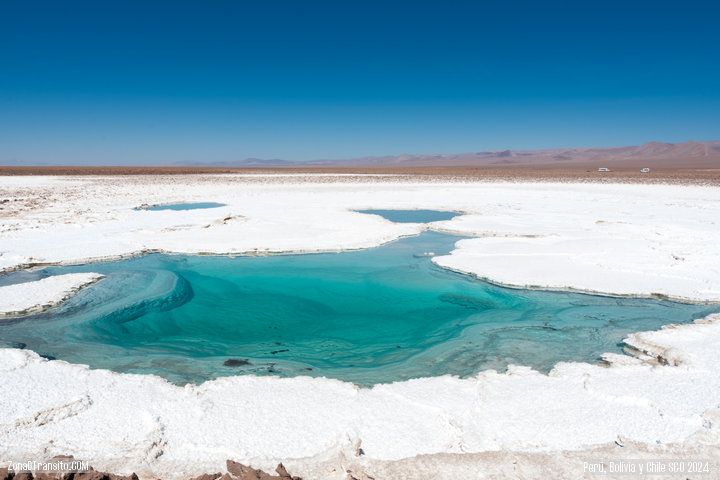 Lagunas escondidas de Baltinache. Guia desierto de Atacama