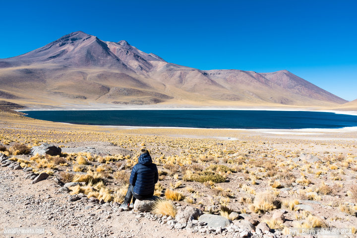 Laguna Miquiñes. Desierto Atacama