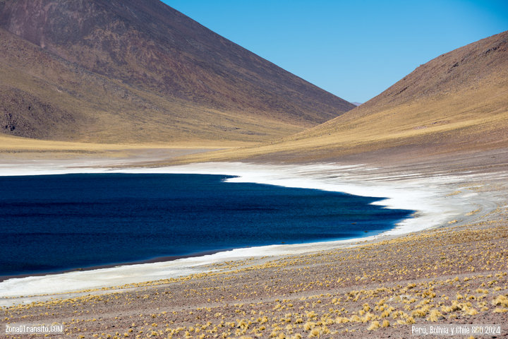 Lagunas altiplánicias. Guia Atacama