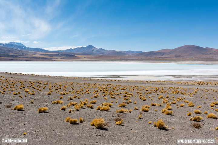 Laguna Tuyajto (Atacama)