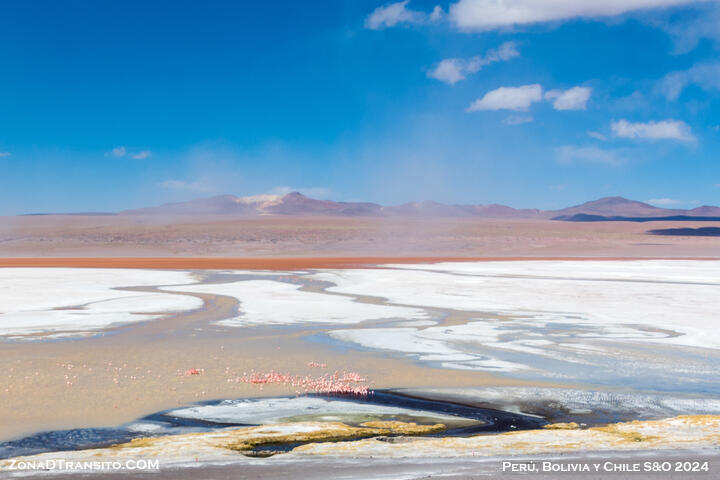 Tour Uyuni Reserva Eduardo Avaroa. Laguna Colorada