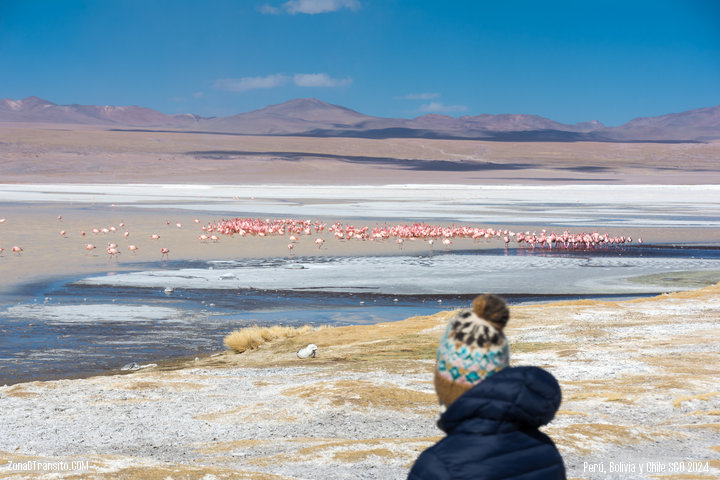 Laguna Colorada Reserva Eduardo Avaroa