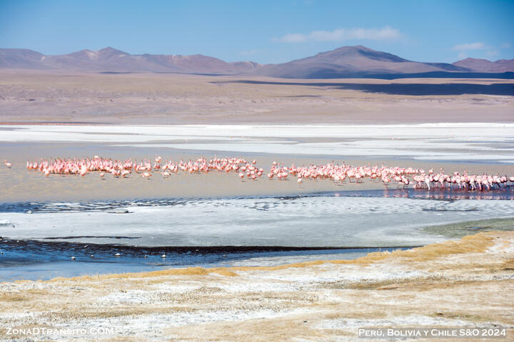 Tour Uyuni y Reserva Eduardo Avaroa Bolivia