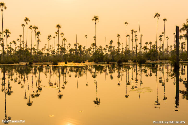 Amazonas Peruano. Puerto Maldonado, Laguna Yacumama y Lago Sandoval